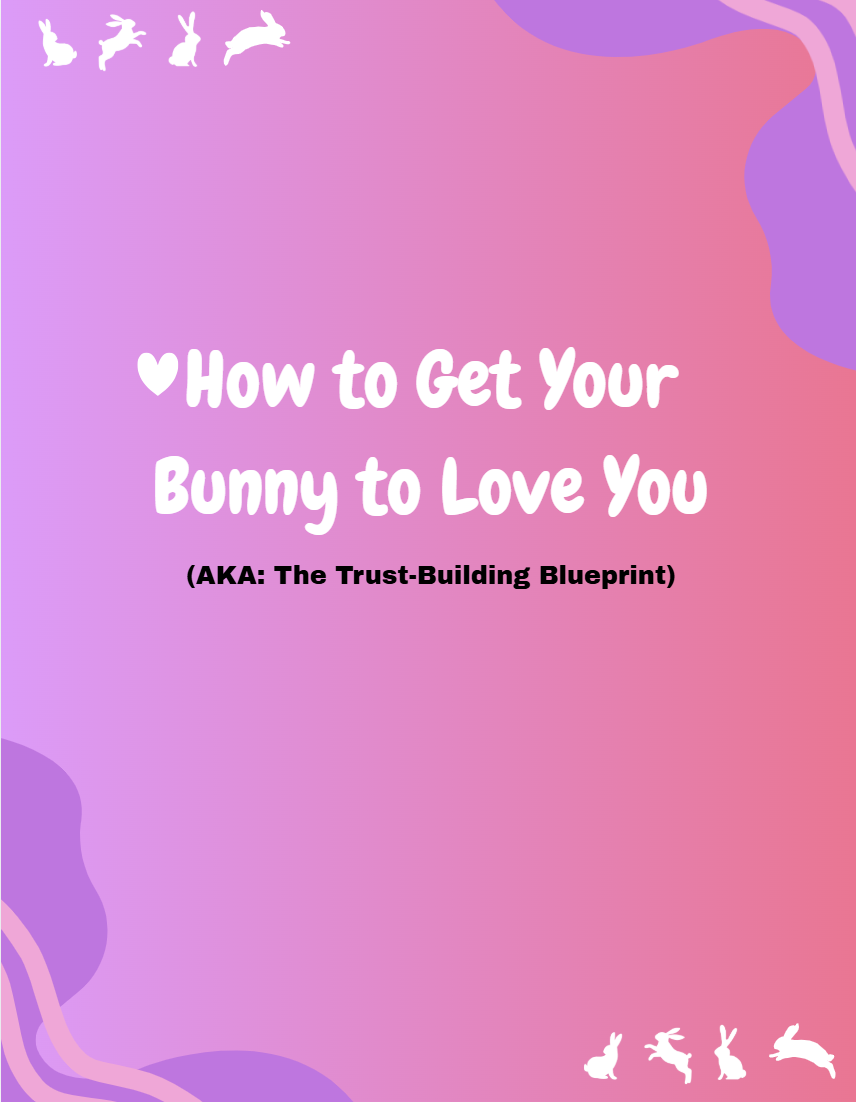How to Get Your Bunny to Love You (AKA: The Trust-Building Blueprint)