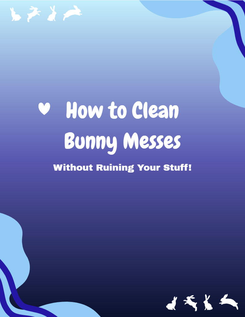 How to Clean Your Bunny Messes Guide (WITHOUT Ruining Your Stuff)