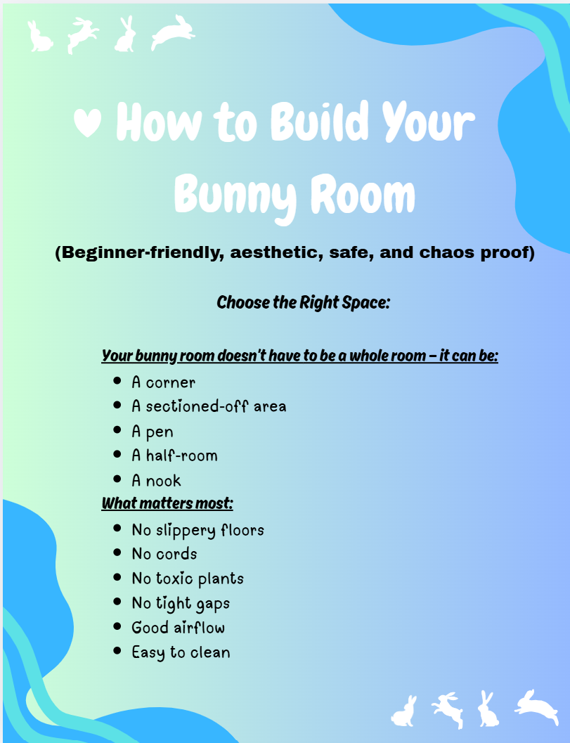 Building The Perfect Bunny Room Guide