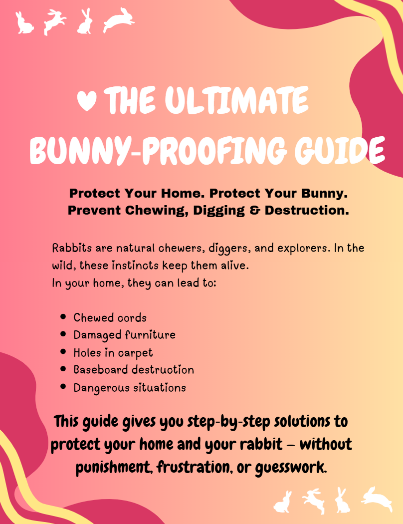 The Ultimate Bunny-Proofing Guide