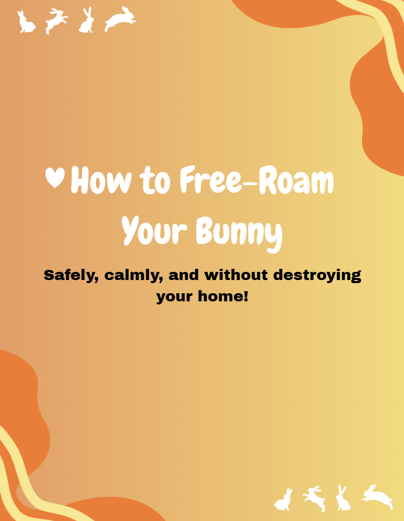 How to Free-Roam Your Rabbit: A Step-by-Step Guide for a Happier Bunny