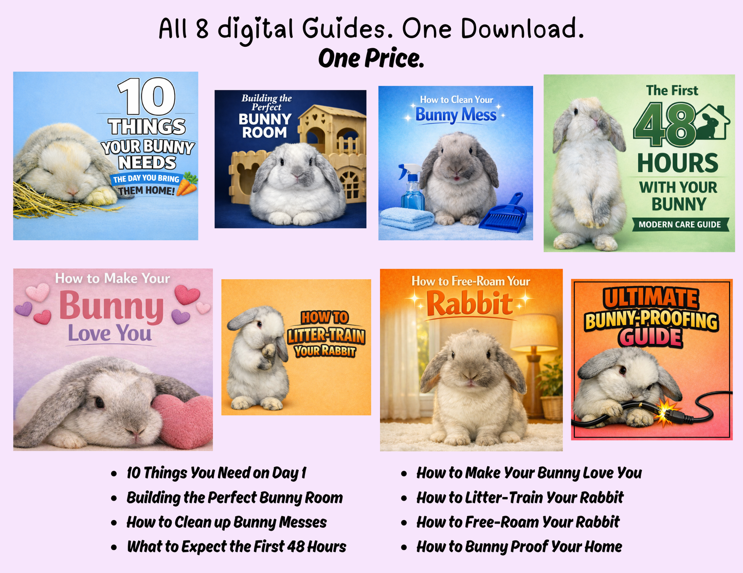 Benji's Complete Downloadable 8 Guide Beginner Bunny Bundle
