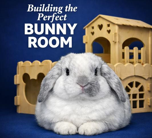 Building The Perfect Bunny Room Guide