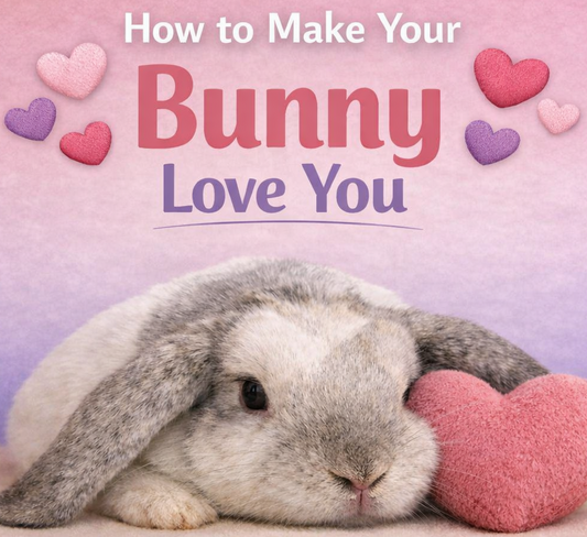 How to Get Your Bunny to Love You (AKA: The Trust-Building Blueprint)