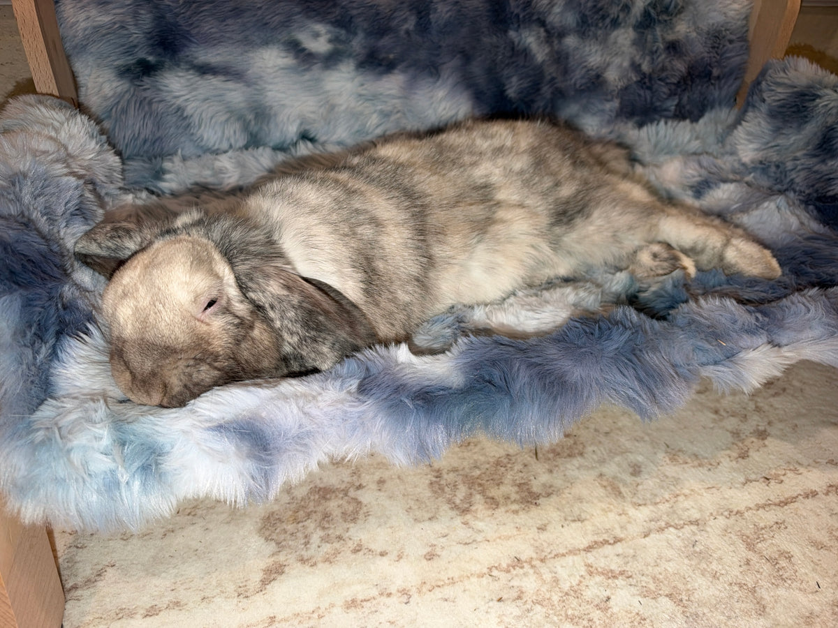 Benji Bunny Couch