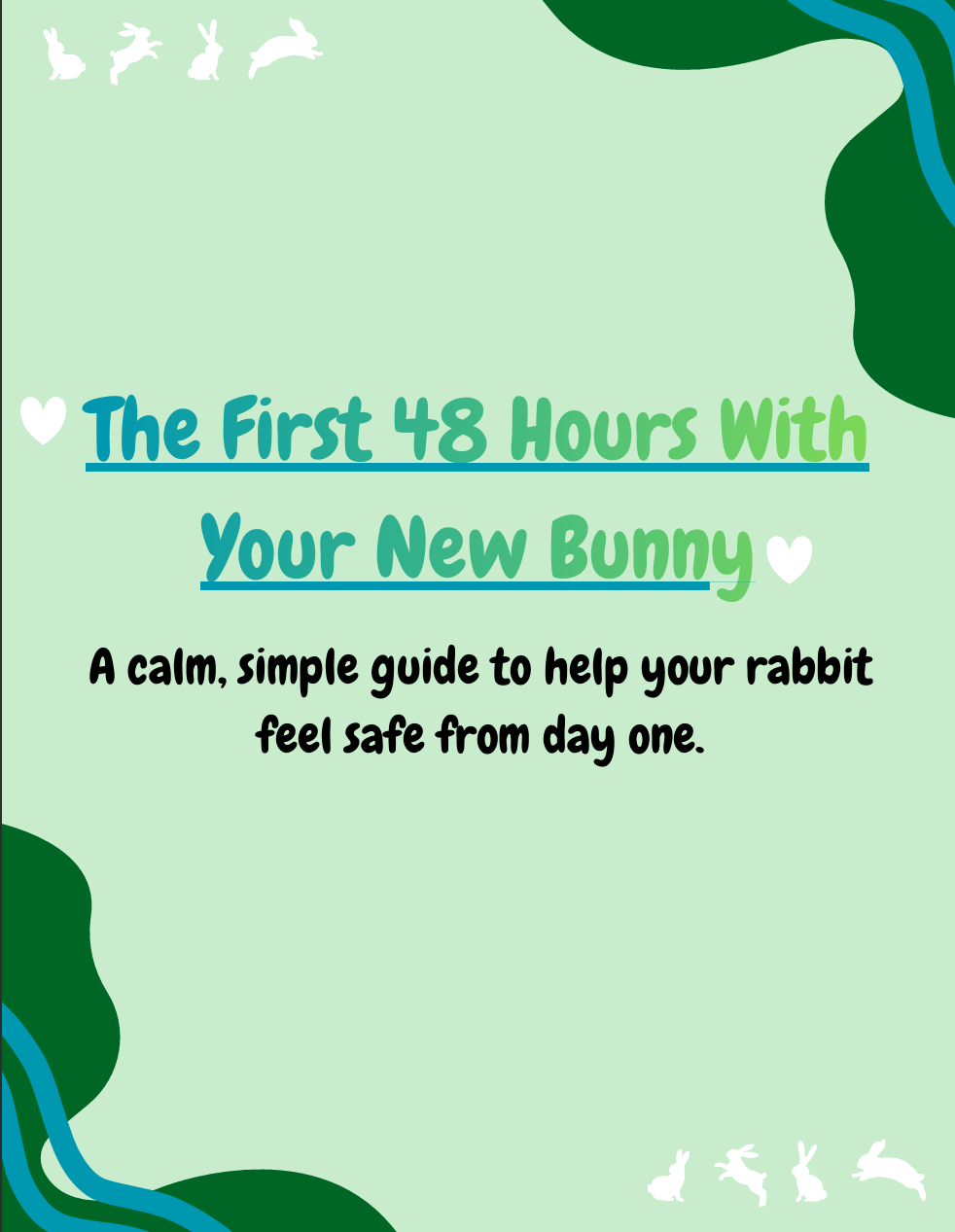 First 48 Hours Bunny Care Guide